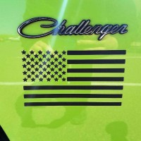 1 color american flag